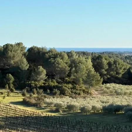 In With Pool And Vineyard Views *